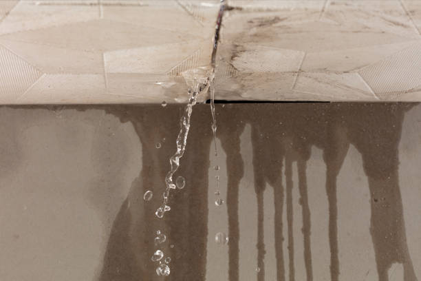 Professional Structural Drying technician working in Herrick, SD